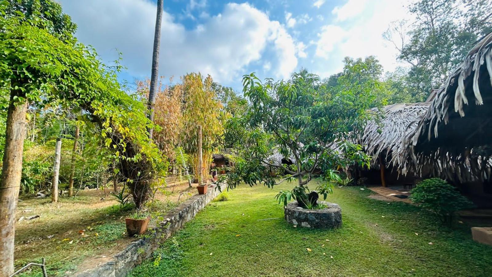 Hasthi Safari Cottage Удавалаве Экстерьер фото