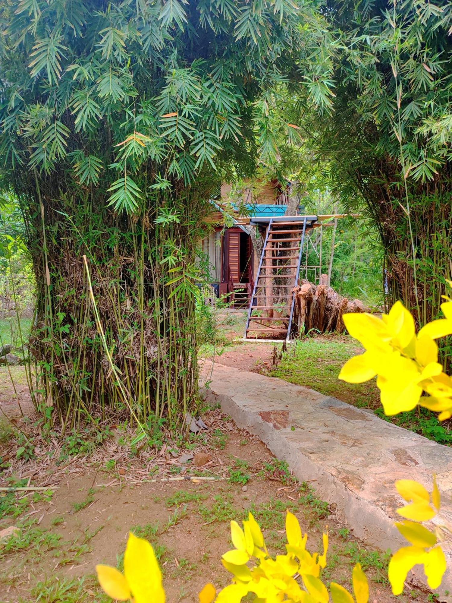 Hasthi Safari Cottage Удавалаве Экстерьер фото