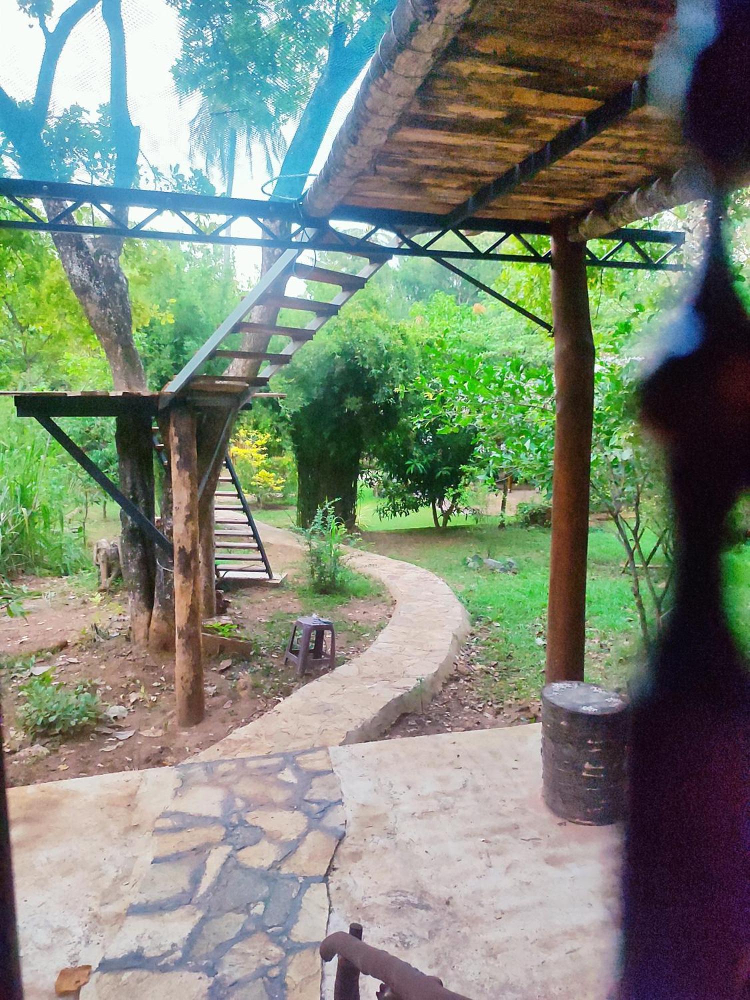 Hasthi Safari Cottage Удавалаве Экстерьер фото