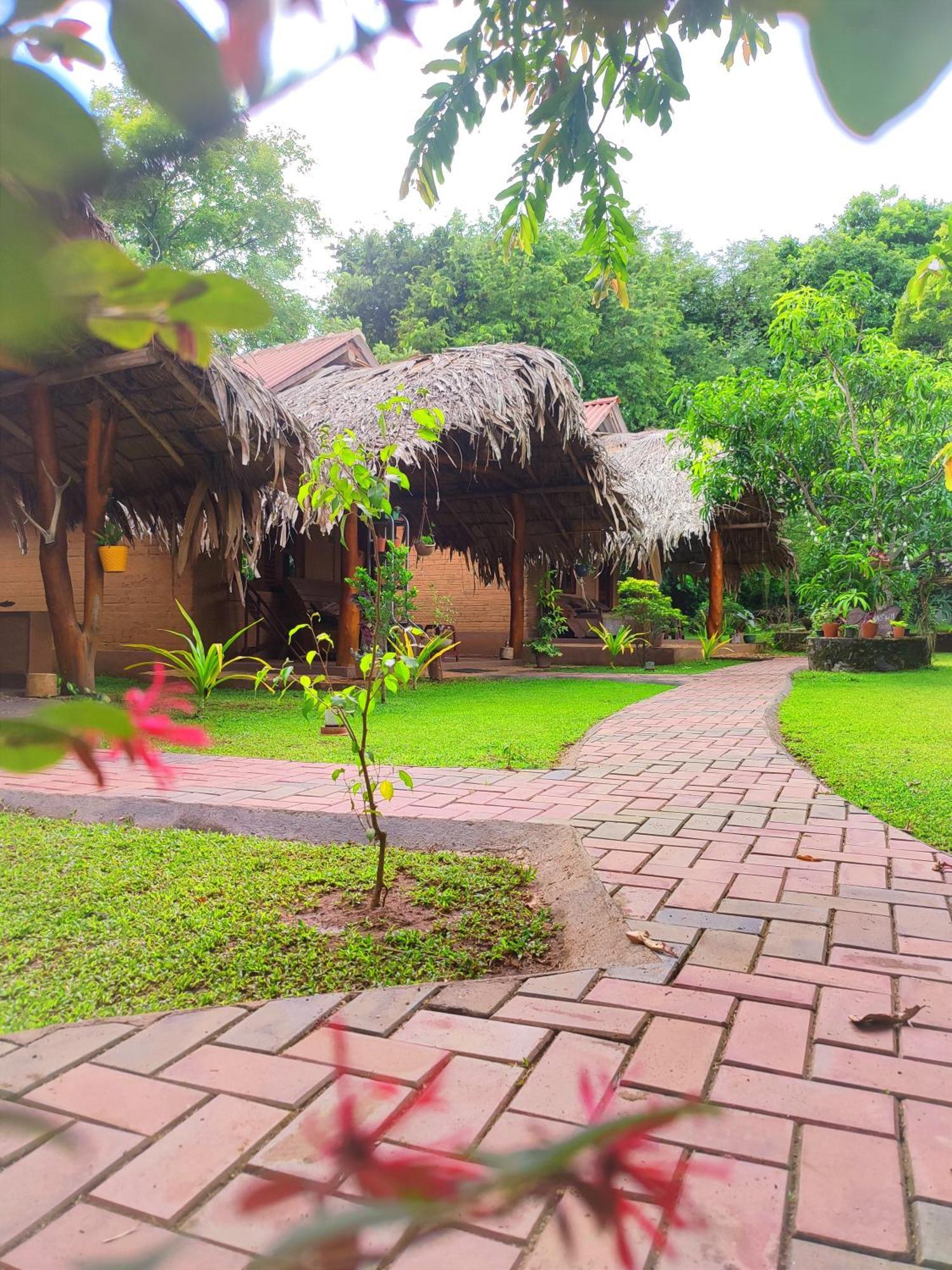 Hasthi Safari Cottage Удавалаве Экстерьер фото
