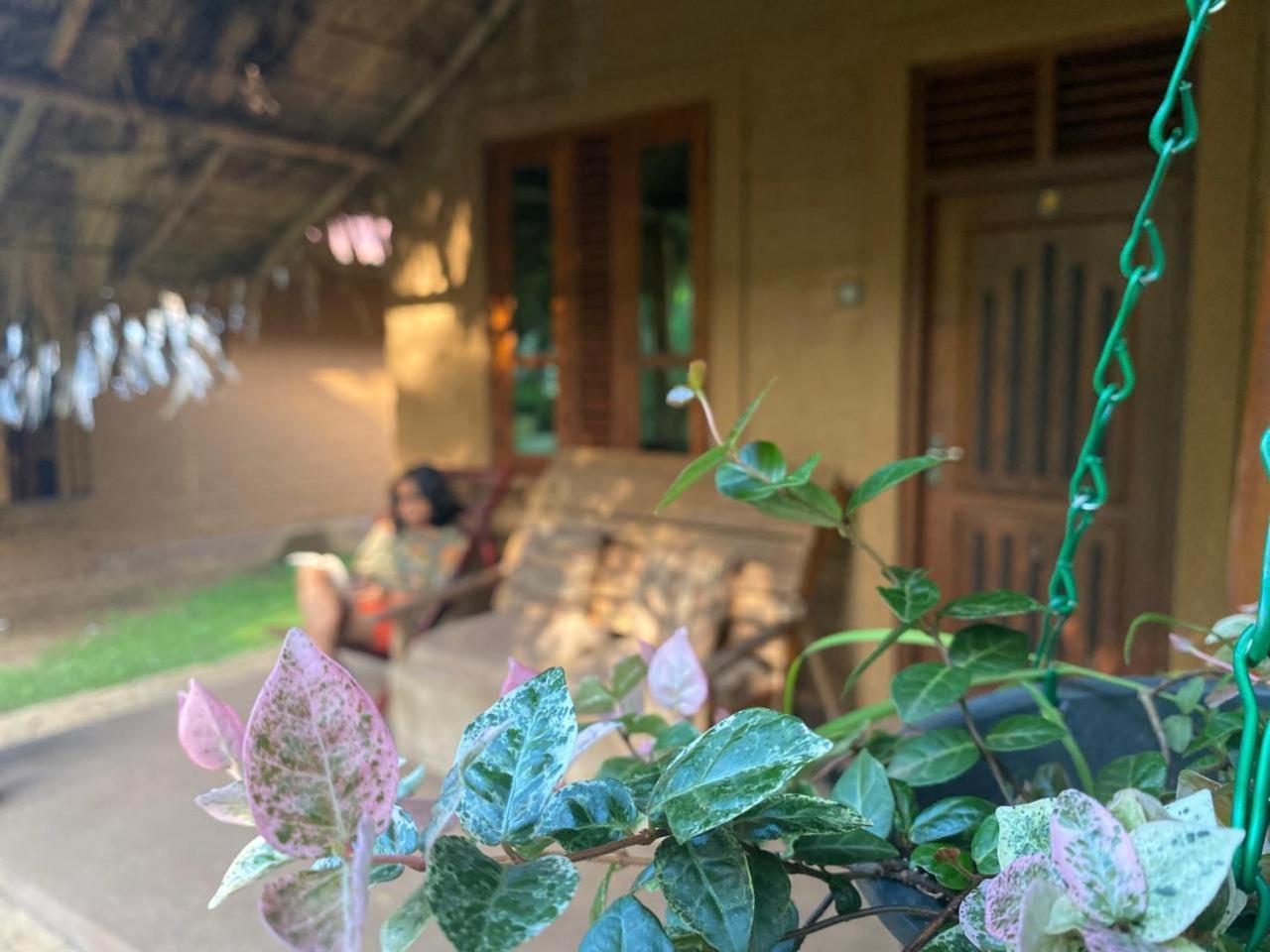 Hasthi Safari Cottage Удавалаве Экстерьер фото