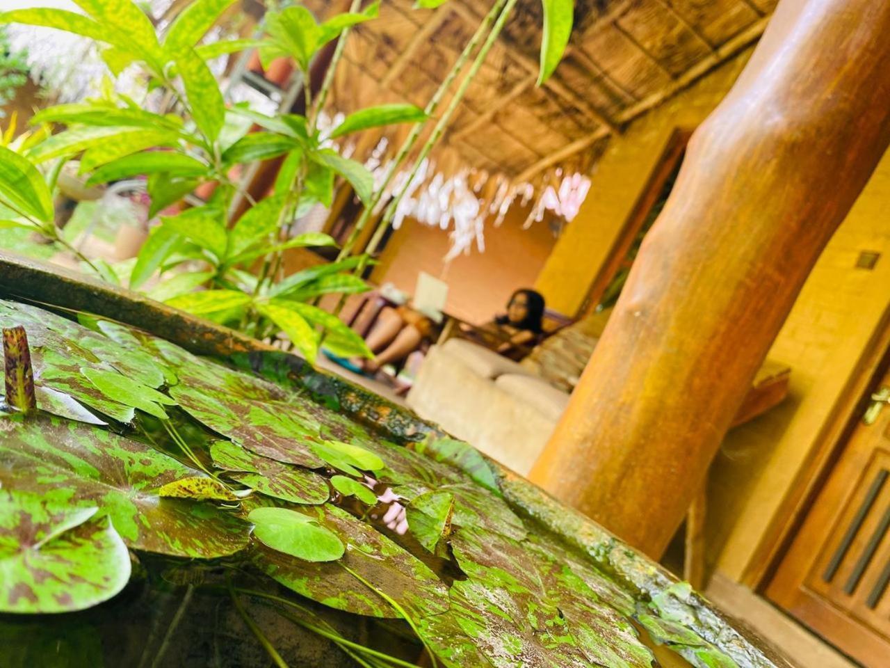 Hasthi Safari Cottage Удавалаве Экстерьер фото