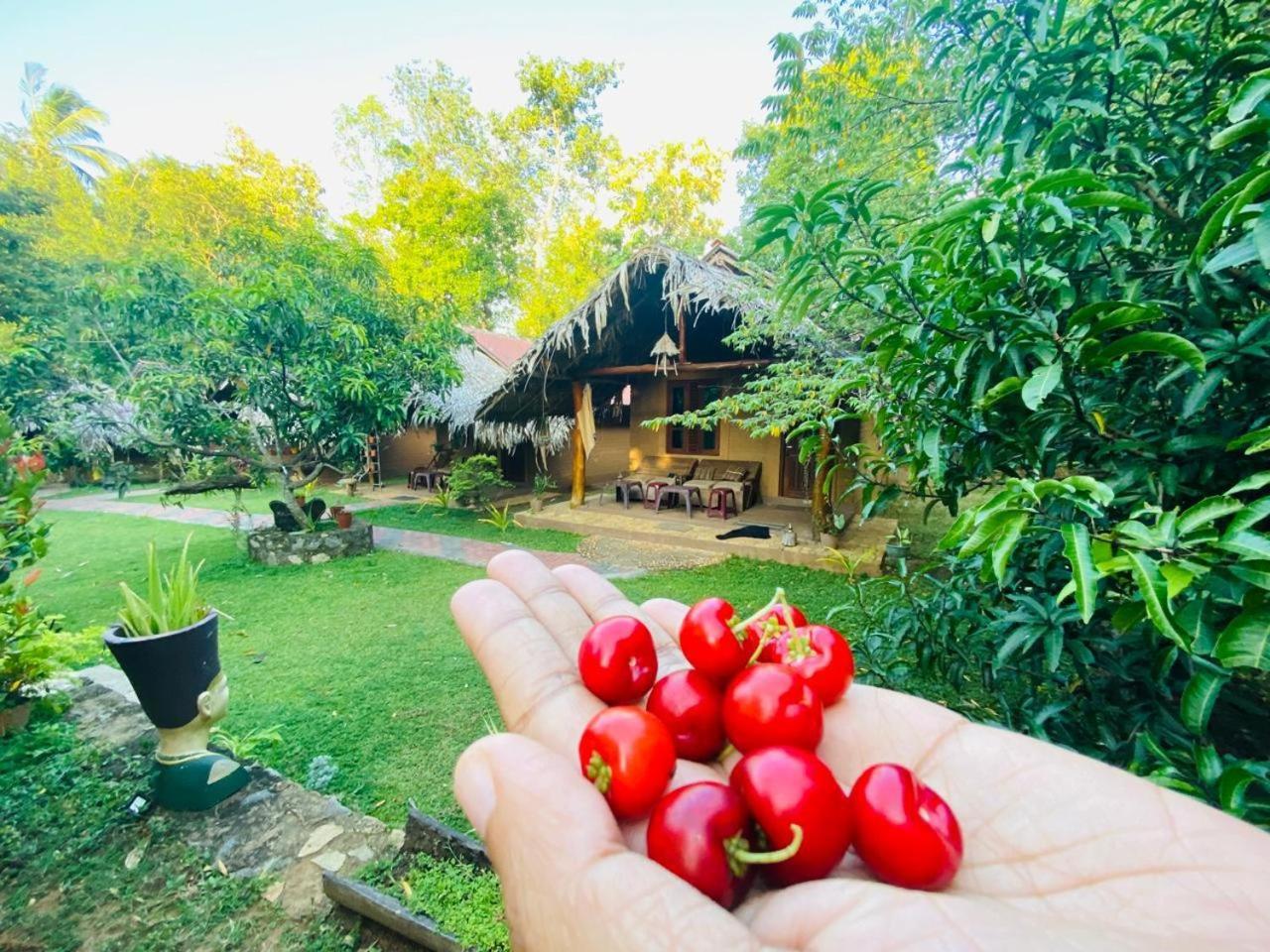 Hasthi Safari Cottage Удавалаве Экстерьер фото