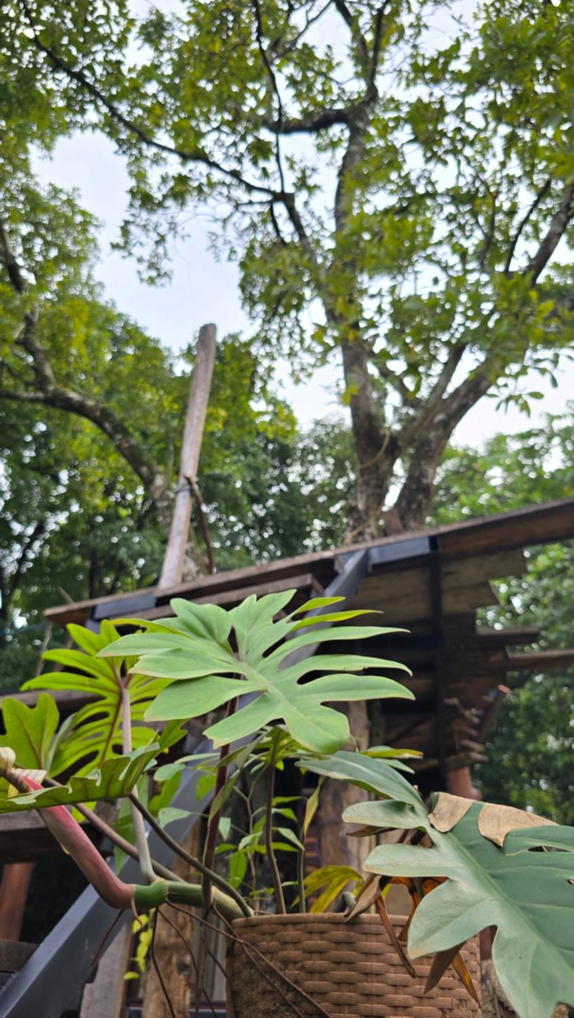 Hasthi Safari Cottage Удавалаве Экстерьер фото